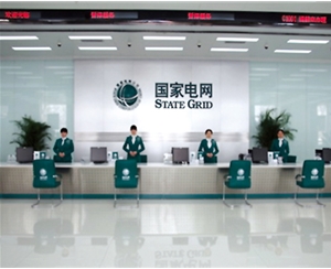電網VI標識